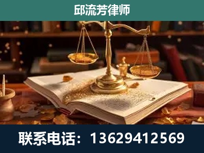 麒麟-刑事案件